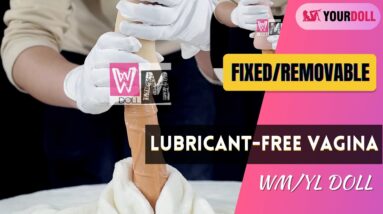 How Convenient the WM Lubricant-Free Vagina Is!